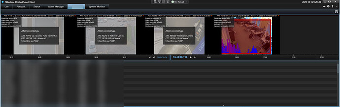 milestone camera snap 2
