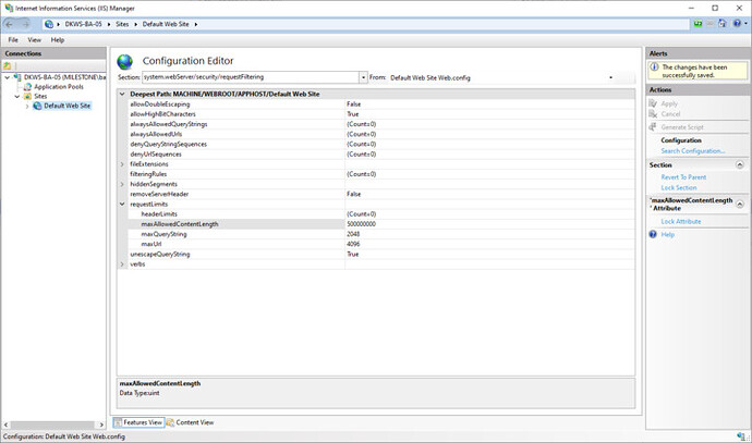 configAPI_remove_issue-fix